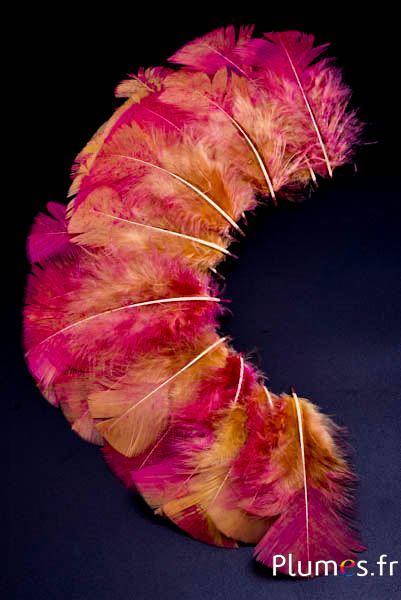 Dinde mouchetée couleur fuchsia - 6-8 cm - curry